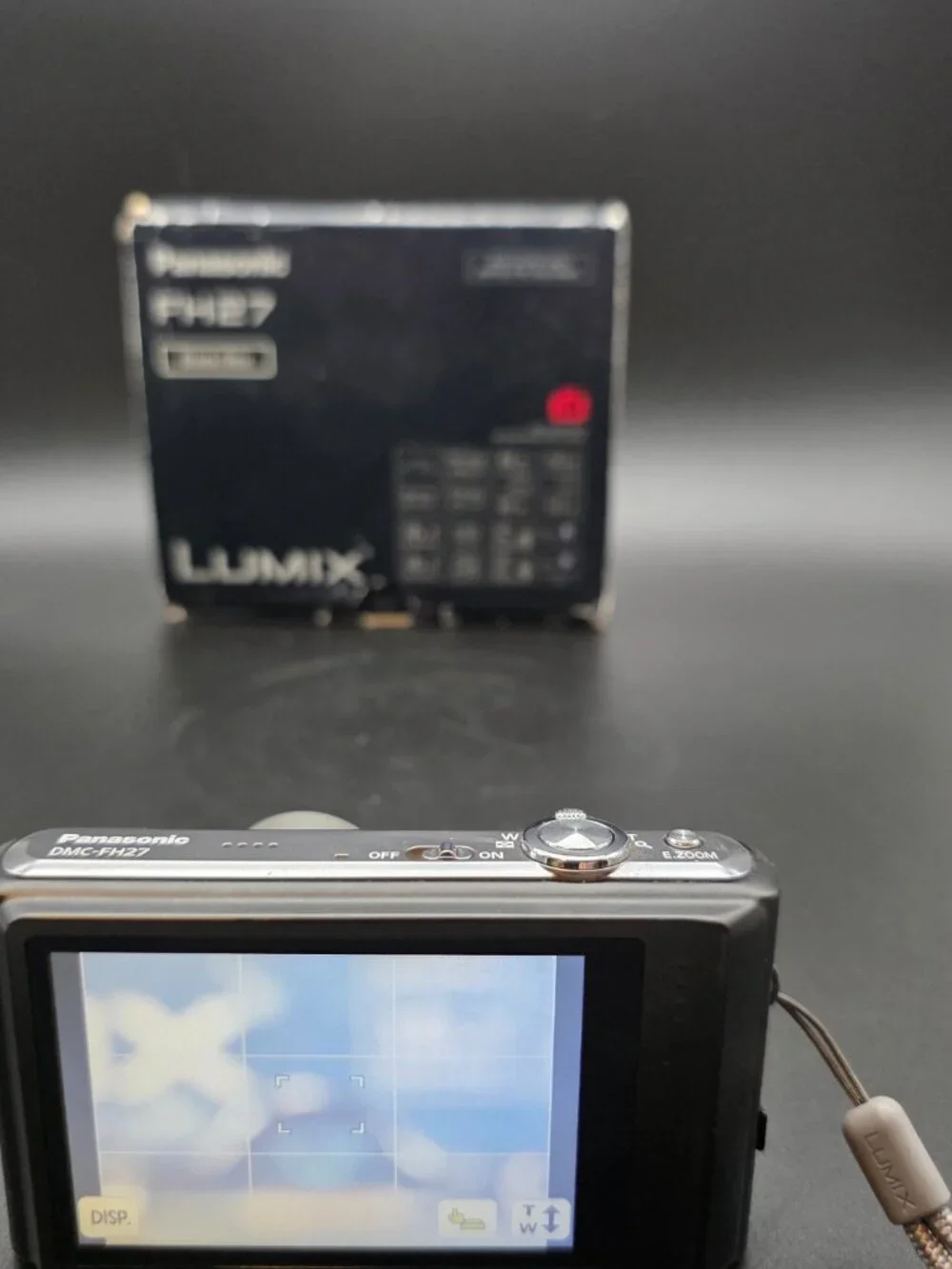 Panasonic LUMIX questions leave